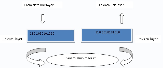 The Physical Layer of OSI Model