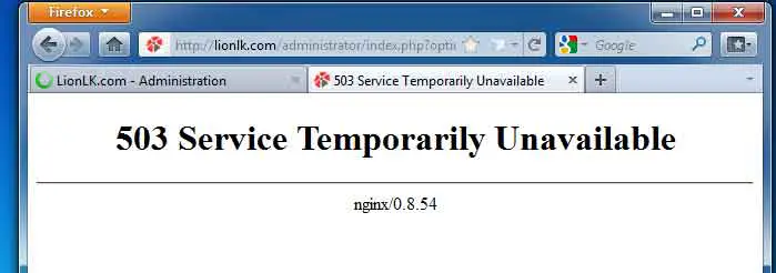 What Does It Mean 503 Service Temporarily Unavailable 