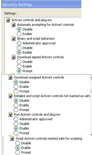 Check the ActiveX controls and plug-ins