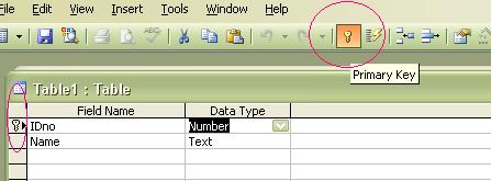 Primary Key