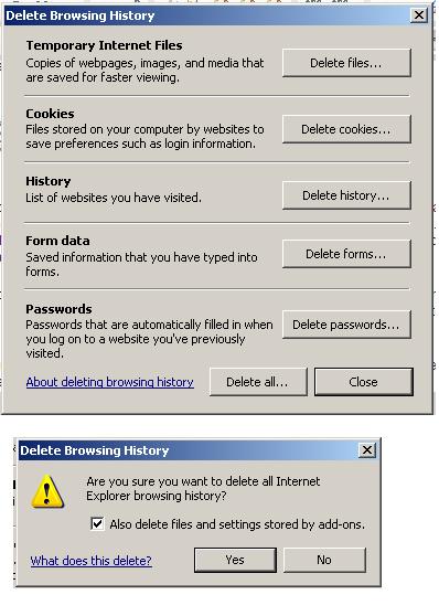 click on the Tools Menu-Delete Browsing History