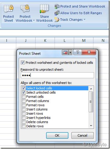 protect Worksheet with Password
