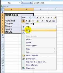 go to excel file and then select all or just select the particular information and then copy it