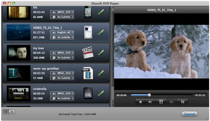 IPad Video MP4 as output format