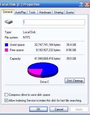 Local Disk Properties