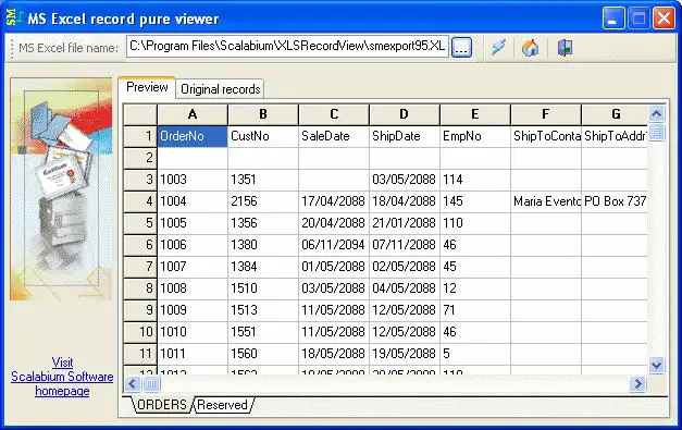 MS Excel Record