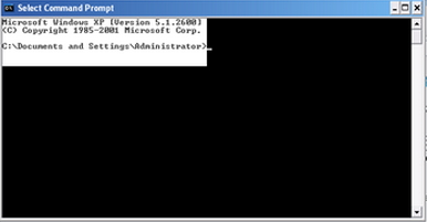 Commnad Prompt Microsoft Windows XP