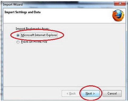 import wizard-microsoft internet explorer-next