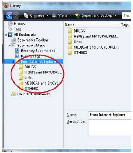 library-from internet explorer