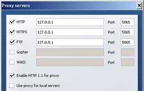 Use Proxy for Local Server