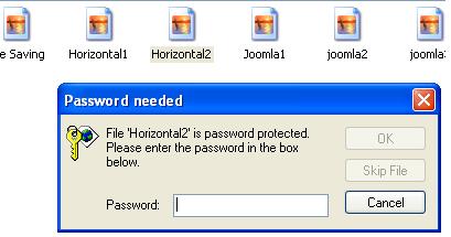 Password to open File