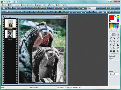 Image editing Software