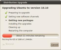 Error: Distribution Upgrade Upgrading Ubuntu to version 10.10