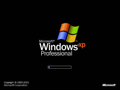 Windows XP Professional