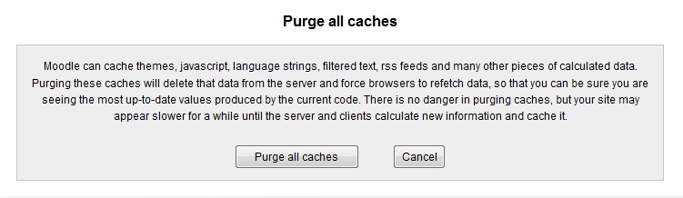 Purge all cache