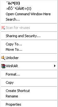 Chines virus by removing the autorun.ini file 