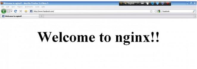 Nginx