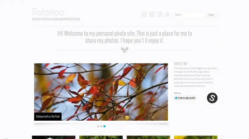 Fotokoo Theme