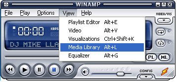 Completing installation on the winamp