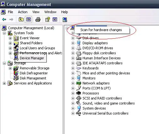 Computer Management (Local), -> select Device Manager then press Tab key once, look for the Display adapters