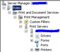 Print and document services and install