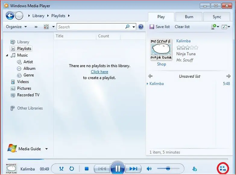 Windows Media Player Software