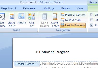 MS Word