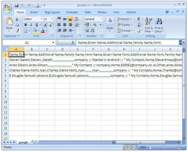 could not open the CSV file correctly in Microsoft Excel 2007