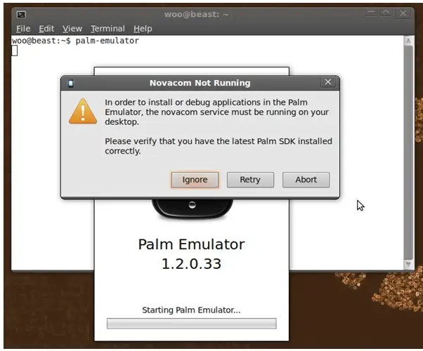 In order to install or debug applications in the Palm Emulator