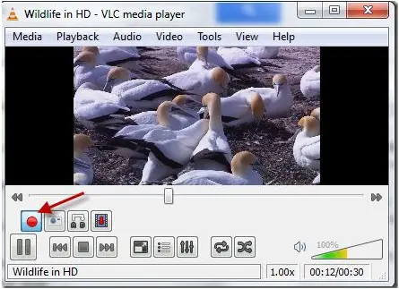 need to download the latest version of VLC media player