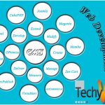 Using CMS for Web Development