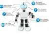 What is Robotics and its Importance?