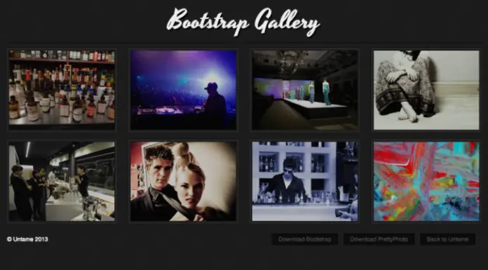 Learn More About jQuery Image Gallery Plugins