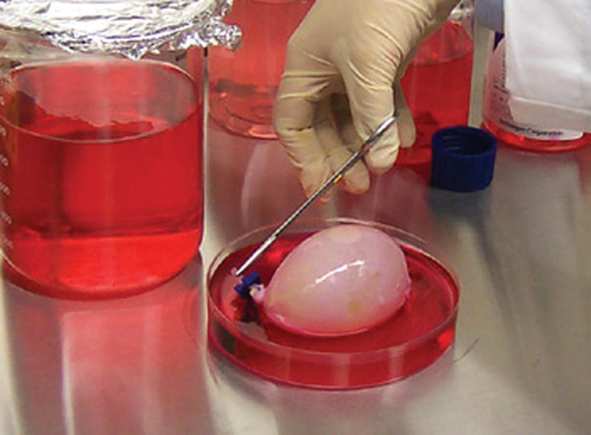 Top 10 Technological Devices For Every Doctor