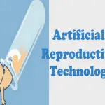 Mechanical Reproduction With The Help Of Technology