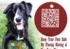 Keeping Your Pets Safe By Having A Bar Code Chip