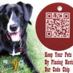 Keeping Your Pets Safe By Having A Bar Code Chip