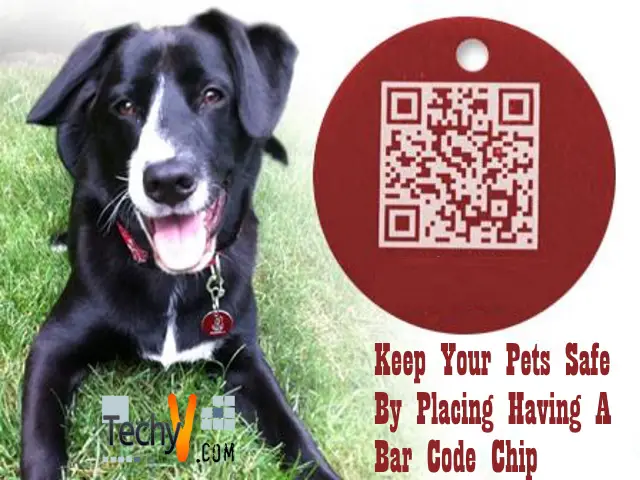 Keeping Your Pets Safe By Having A Bar Code Chip