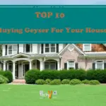 Top 10 Worthy Of Buying Geyser For Your House