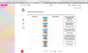 best flashcard software best flashcard software