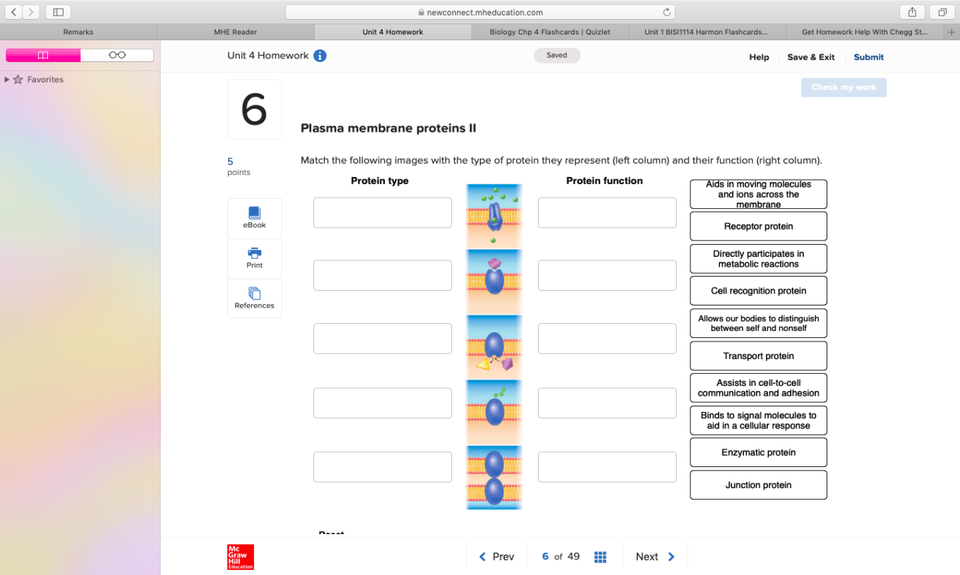 Top Ten Best Flashcard Software