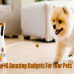 Top 10 Amazing Gadgets For Your Pets