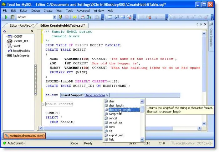 what is database software pdf