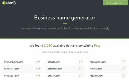 random-business-name-generator-free