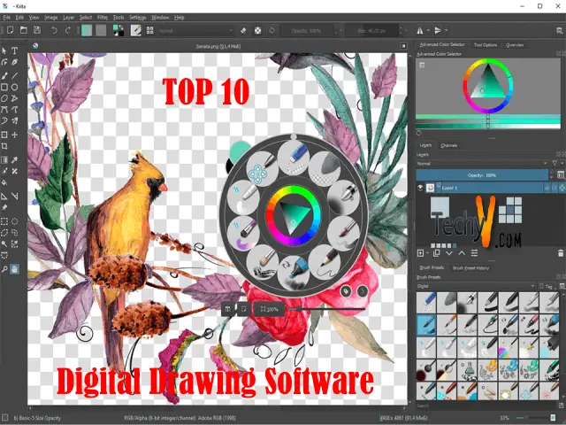 Top 10 Best Digital Drawing Software