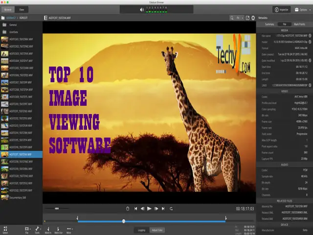 Top 10 Image Viewing Software