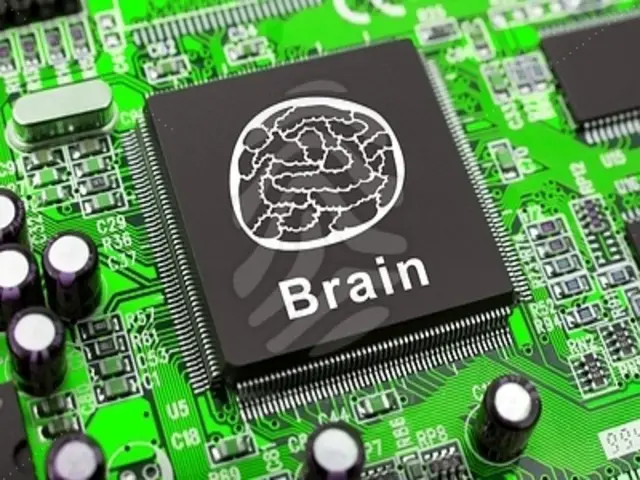 Top 10 Differences Between The Brain And Computer