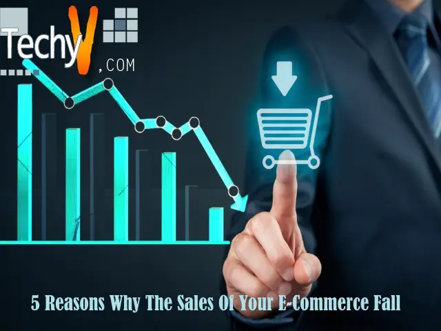 5 Reasons Why The Sales Of Your ECommerce Fall