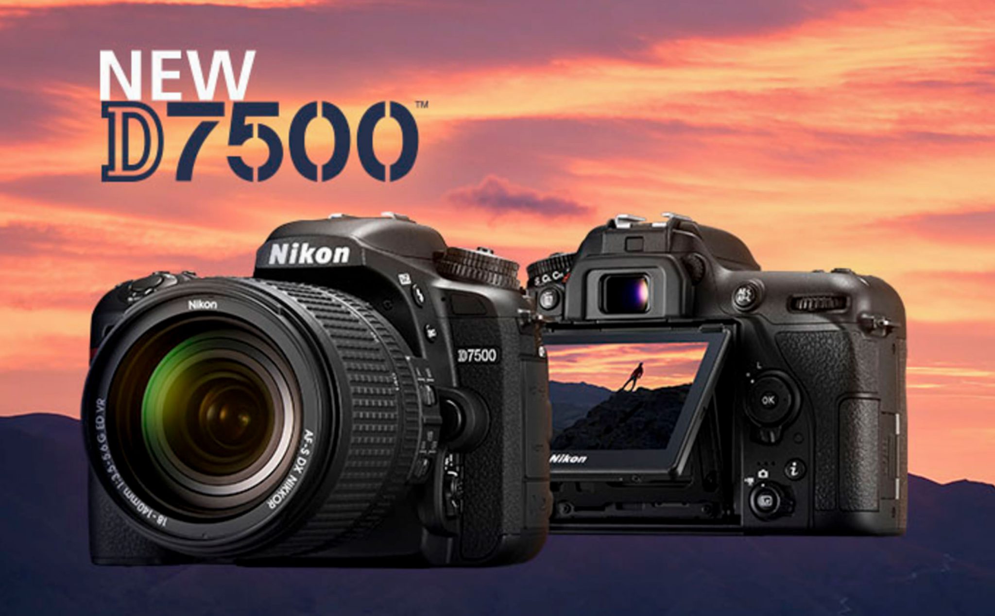 nikon d7500 dxo