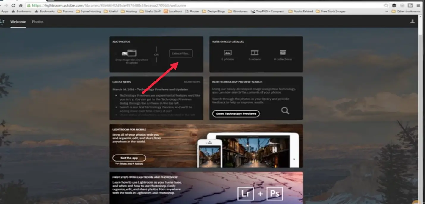 use lightroom online use lightroom online